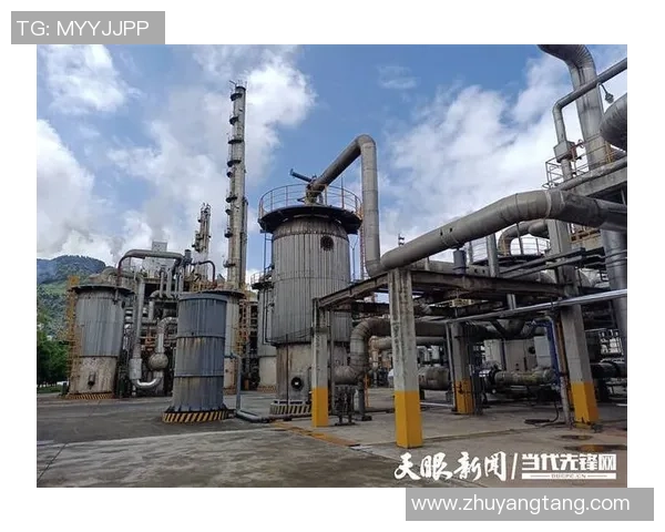 上海篮球队的转型之路：从传统强队到现代竞技的深度解析