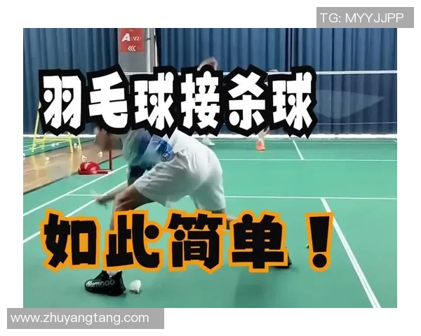 从零基础到高手之路羽毛球技巧与训练全解析 从零基础到高手之路羽毛球技巧与训练全解析