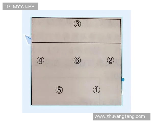 南京排球队总决赛战术分析与表现评估探讨