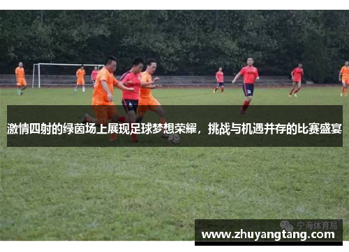 激情四射的绿茵场上展现足球梦想荣耀，挑战与机遇并存的比赛盛宴