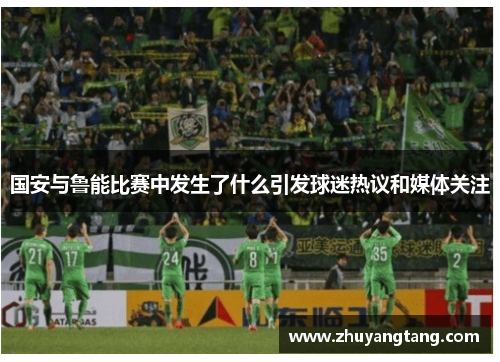 国安与鲁能比赛中发生了什么引发球迷热议和媒体关注
